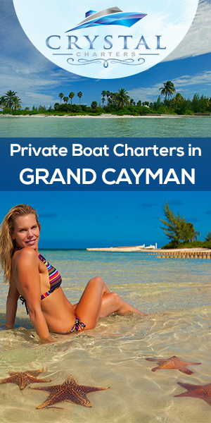 Banner Ad Design by Anooshaa Kachhia for this project | Design: #12141568