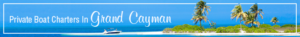 Banner Ad Design by Abdul Haseeb for this project | Design: #12143362