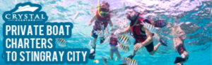 Banner Ad Design by pivotaldesign.biz for this project | Design: #12143812