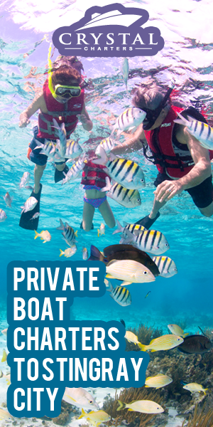 Banner Ad Design by pivotaldesign.biz for this project | Design: #12143813