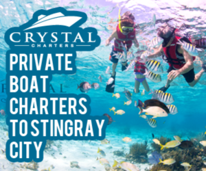 Banner Ad Design by pivotaldesign.biz for this project | Design: #12143816