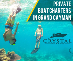 Banner Ad Design by pivotaldesign.biz for this project | Design: #12143818