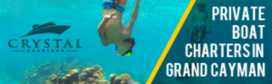 Banner Ad Design by pivotaldesign.biz for this project | Design: #12143822