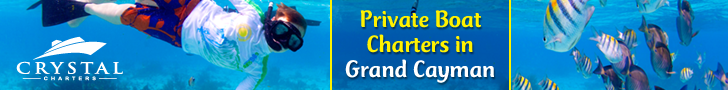 Banner Ad Design by pivotaldesign.biz for this project | Design #12143829