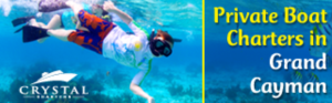 Banner Ad Design by pivotaldesign.biz for this project | Design: #12143832