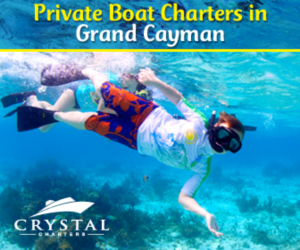 Banner Ad Design by pivotaldesign.biz for this project | Design: #12143834