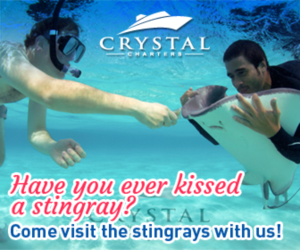 Banner Ad Design by pivotaldesign.biz for this project | Design: #12143839