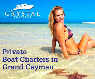 Banner Ad Design by pivotaldesign.biz for this project | Design #12143844