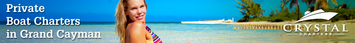 Banner Ad Design by pivotaldesign.biz for this project | Design #12143845