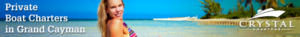 Banner Ad Design by pivotaldesign.biz for this project | Design: #12143845