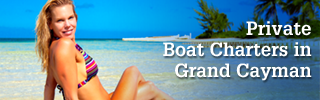Banner Ad Design by pivotaldesign.biz for this project | Design #12143846