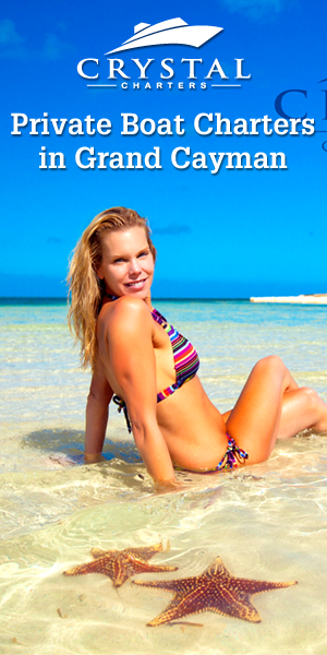 Banner Ad Design by pivotaldesign.biz for this project | Design #12143848