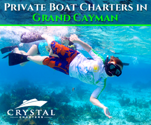 Banner Ad Design by pivotaldesign.biz for this project | Design #12181639