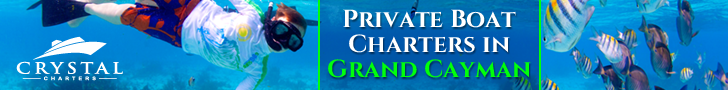 Banner Ad Design by pivotaldesign.biz for this project | Design #12181641