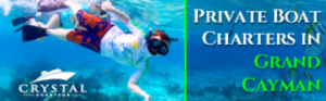 Banner-Design von pivotaldesign.biz für dieses Projekt | Design: #12181642