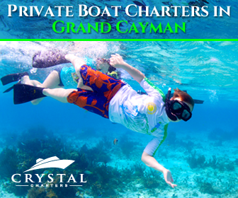 Banner Ad Design by pivotaldesign.biz for this project | Design #12181643