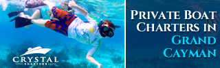 Banner-Design von pivotaldesign.biz für dieses Projekt | Design #12181656