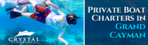 Banner-Design von pivotaldesign.biz für dieses Projekt | Design: #12181656