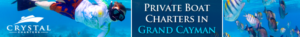 Banner-Design von pivotaldesign.biz für dieses Projekt | Design: #12181657