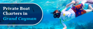 Banner-Design von pivotaldesign.biz für dieses Projekt | Design: #12181666