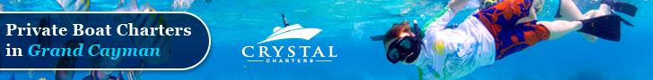 Banner Ad Design by pivotaldesign.biz for this project | Design #12181668