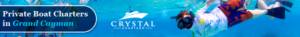 Banner-Design von pivotaldesign.biz für dieses Projekt | Design: #12181668