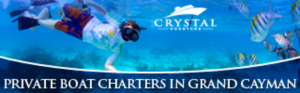 Banner Ad Design by pivotaldesign.biz for this project | Design: #12181684