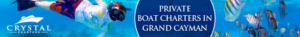 Banner Ad Design by pivotaldesign.biz for this project | Design: #12181685