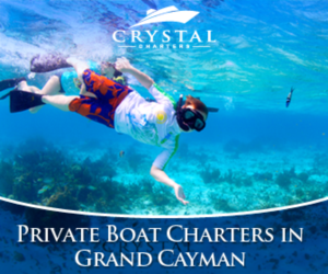 Banner Ad Design by pivotaldesign.biz for this project | Design: #12181686