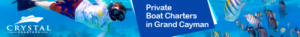 Banner Ad Design by pivotaldesign.biz for this project | Design: #12181693