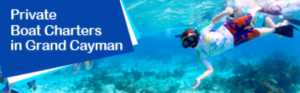 Banner Ad Design by pivotaldesign.biz for this project | Design: #12181694