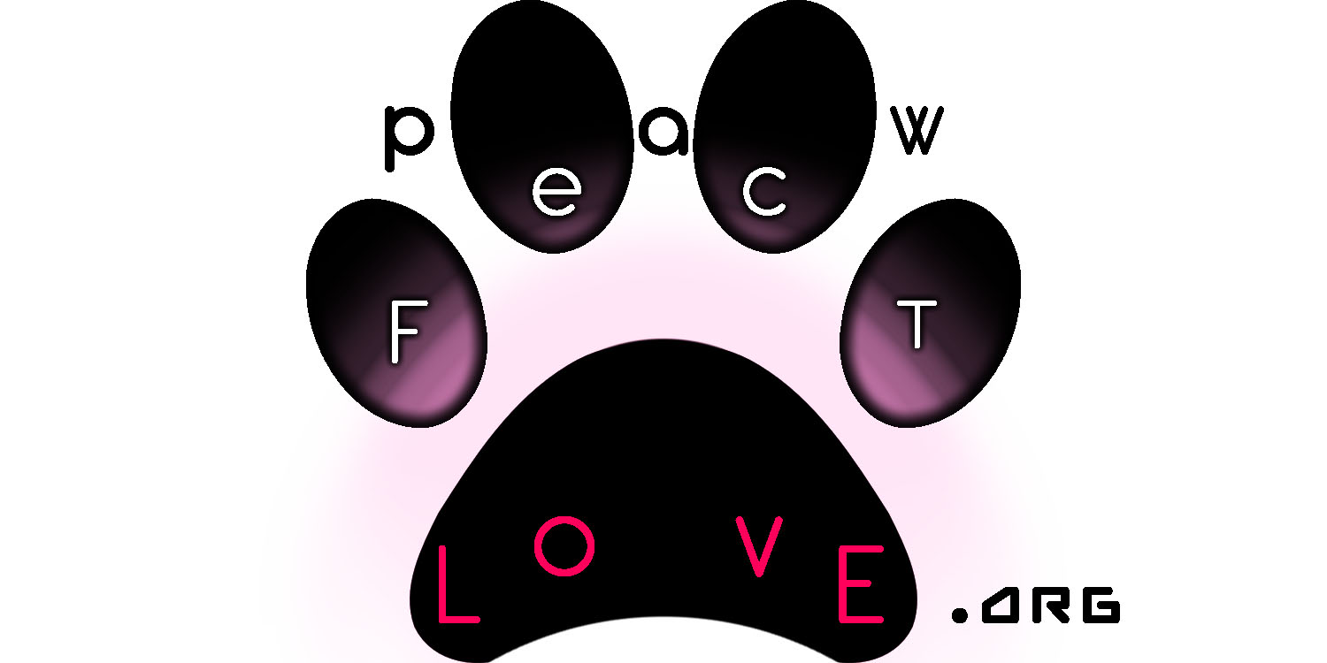 Logo-Design von Adam Volk für dieses Projekt | Design #12120339