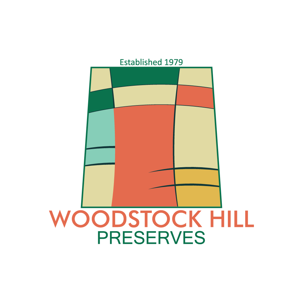 Logo Design by Saumin Bhavsar for this project | Design #18626079