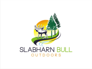 Logo Design by nutu