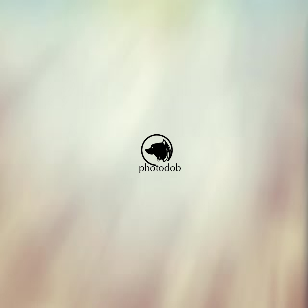 Logo-Design von Caloyzki für dieses Projekt | Design #12159603