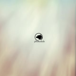 Logo Design by Caloyzki