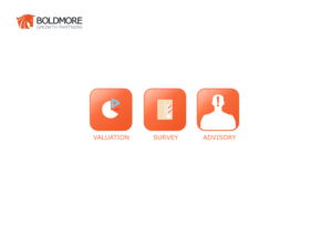 Icon Design by petowesd for Boldmore Growth Partners | Design: #12608633