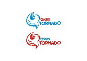 Logo Design by Nicolae Barladeanu