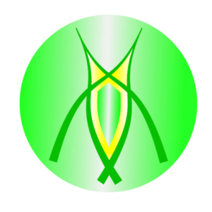 Logo Design by eubullete
