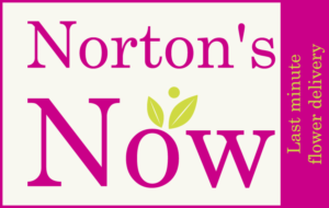 Logo Design by aleksandrakamenschuk for Norton's Florist | Design #12186514