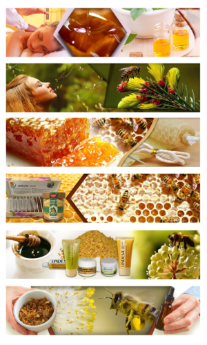 Design de Bannière  par Louie Fuentes | Manobo Graphic Design Services pour Imkerei Wagner | Design : #12228031