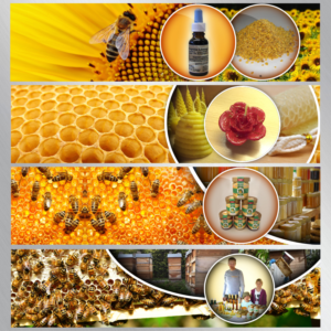 Banner Ad Design by cahkuli