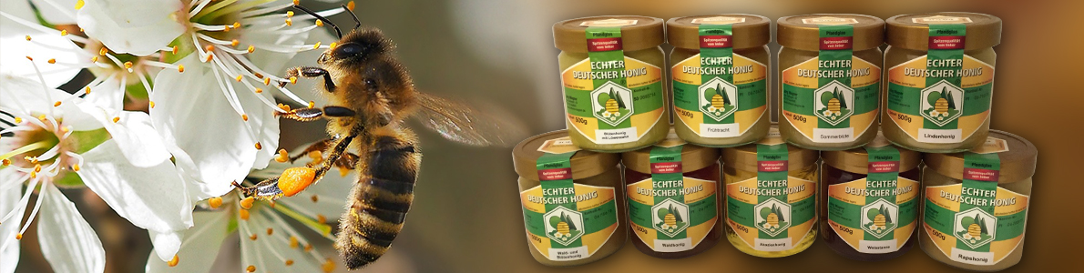 Banner Ad Design by Storm Bui for Imkerei Wagner | Design #12274946