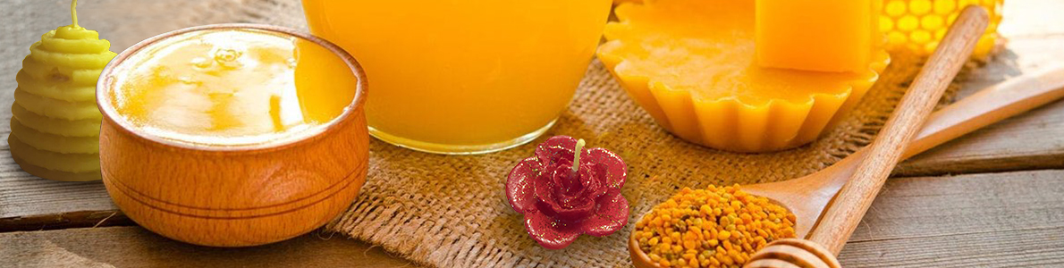 Banner-Design von Storm Bui für Imkerei Wagner | Design #12286928