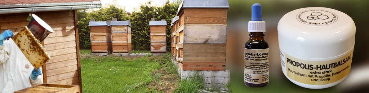 Design de Bannière  par Storm Bui pour Imkerei Wagner | Design #12290083