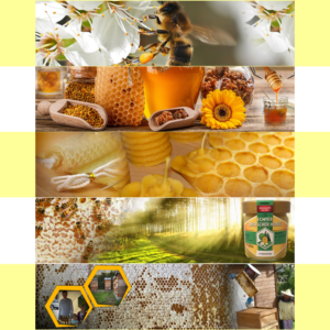Banner Ad Design by Naeem Rajani