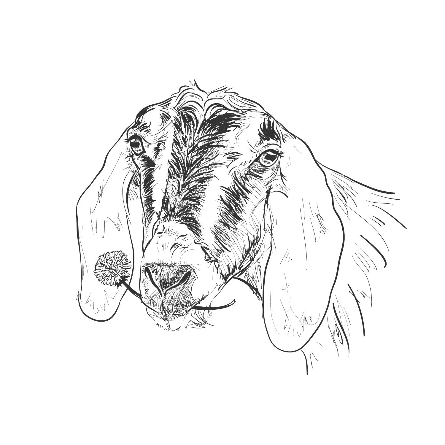 Graphic Design by Alexandra Stay for this project | Design #12153347