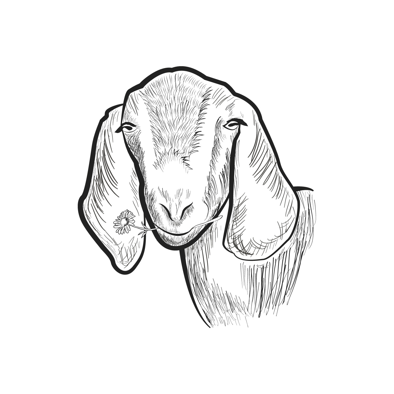 Graphic Design by Wally_F for this project | Design #12131240