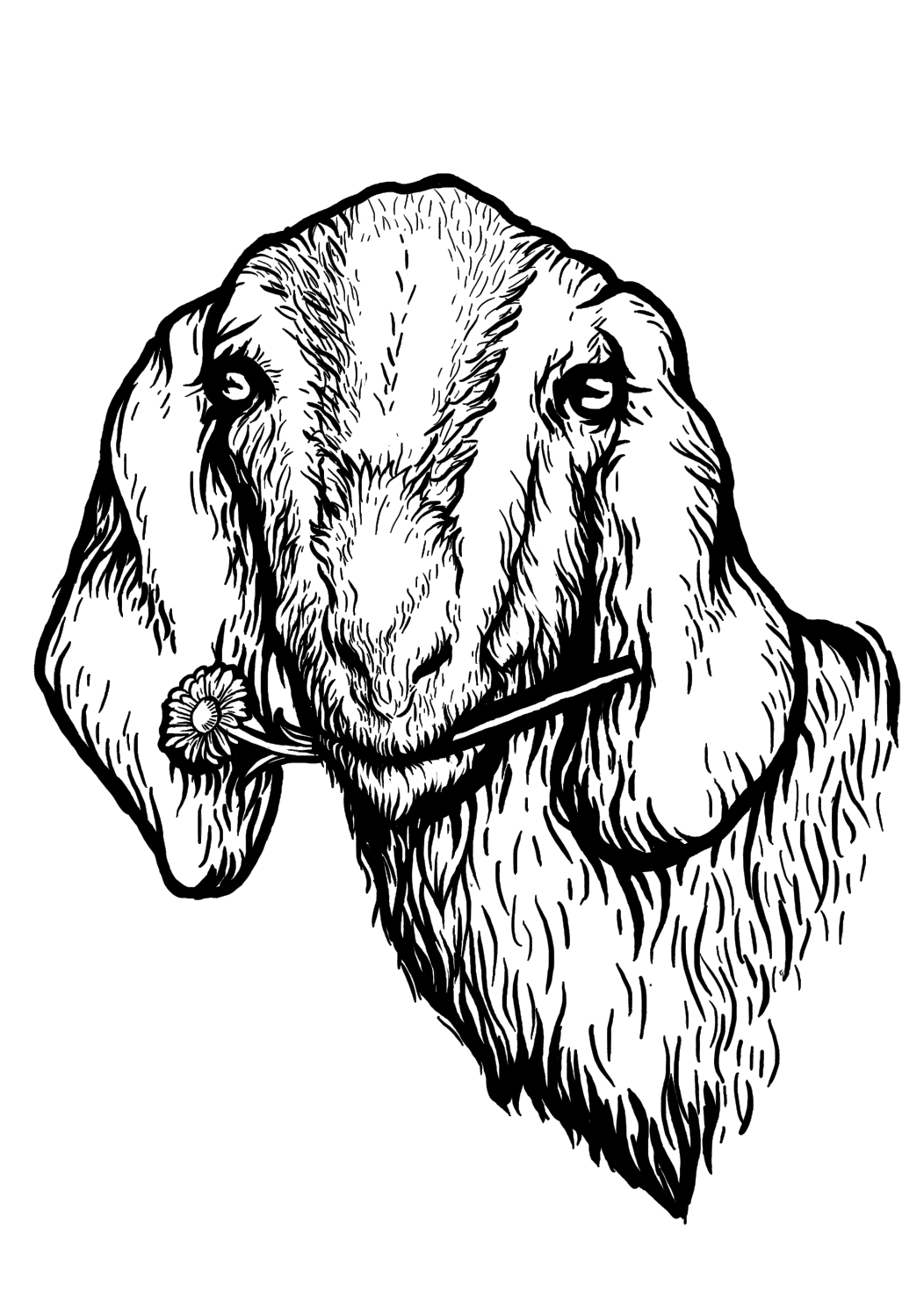 Diseño Gráfico por theodorusdick14 para este proyecto | Diseño #12142676