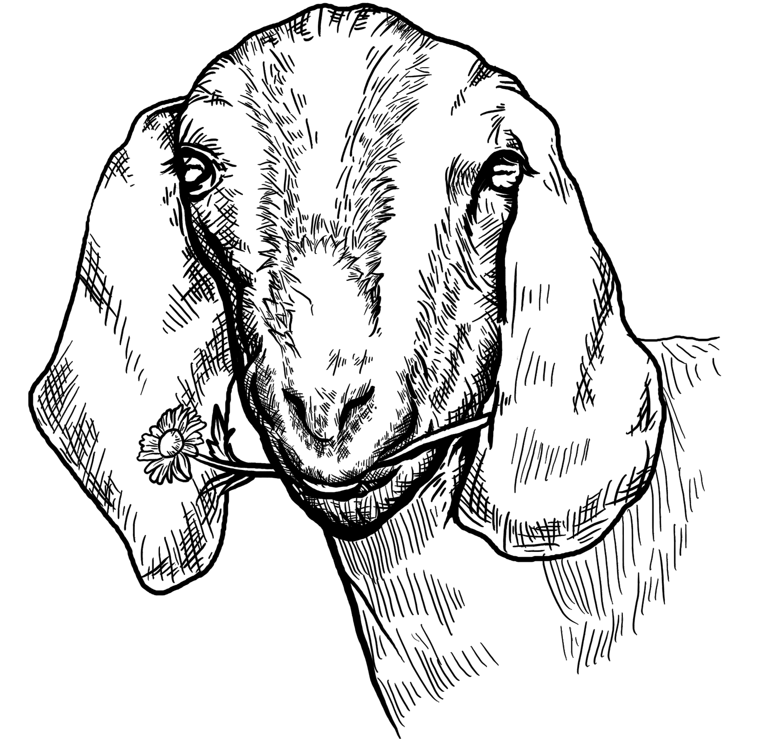 Graphic Design by theodorusdick14 for this project | Design #12167335